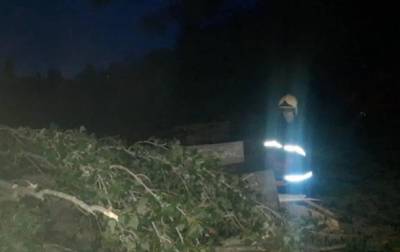 В Виннице ураган валил деревья, пострадала женщина