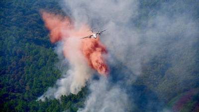 Во Франции один человек погиб и 27 пострадали из-за лесных пожаров