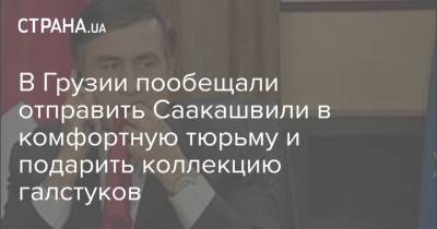 В Грузии пообещали отправить Саакашвили в комфортную тюрьму и подарить коллекцию галстуков