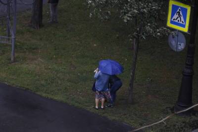 Спасатели предупредили петербуржцев о сильном ветре и дождях в четверг