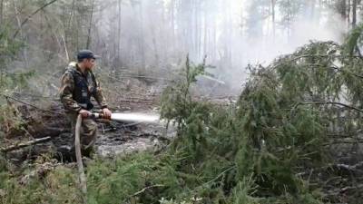 Новости на "России 24". Лесные пожары: в Якутии за сутки потушили сто тысяч гектаров