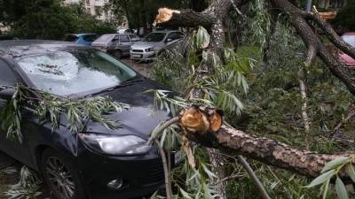 Страшный ураган срывает крыши домов, рушит стены и валит деревья в Москве