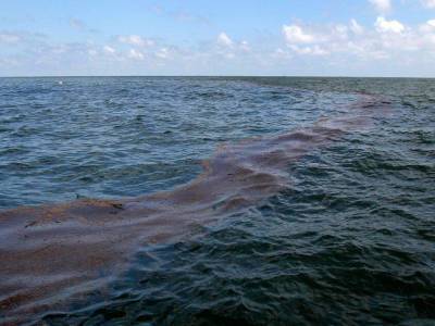 В Черном море произошла экологическая катастрофа: утечка 100 тонн нефти – Ассоциация реинтеграции Крыма