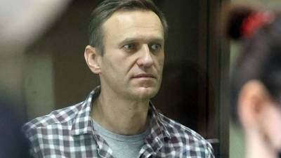 Эксперты объяснили появление «интервью Навального» грузинскому СМИ