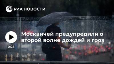 Синоптик "Фобоса" Волосюк: вторая волна дождей и гроз накроет Москву ночью