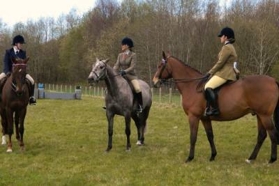 Петербуржцев пригласили стать волонтерами на конных турнирах