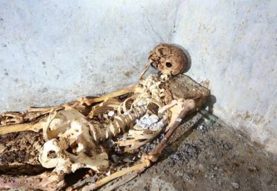 В Помпеях в гробнице нашли останки жреца (фото)