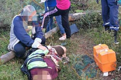 Жительница деревни Матокса пострадала от укуса змеи