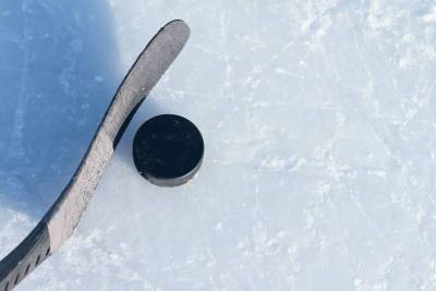 Женская сборная России по хоккею проиграла США в товарищеском матче