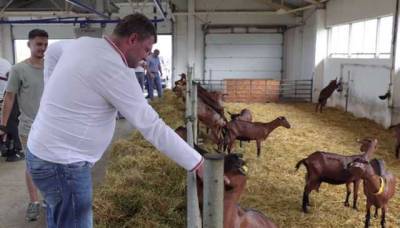 И животноводство - "слуги народа" съездили к козочкам в Херсонскую область