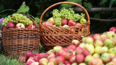 Рецепты блюд из яблок и главные приметы: Как правильно провести Яблочный спас?