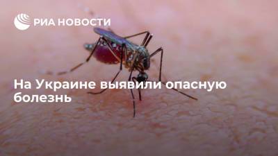 На Украине выявили три случая опасного заболевания дирофиляриоза