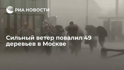Сильный ветер в Москве повалил 49 деревьев, повреждены 24 машины