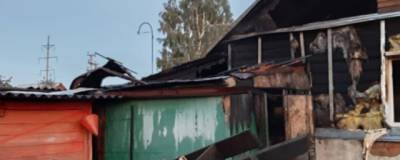 В новосибирском СНТ «Дружба» в пожаре погиб мужчина