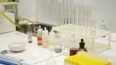 Ученые разрабатывают препарат от тромбоза из водорослей