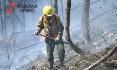 Курортной зоне на Камчатке угрожает мощный лесной пожар