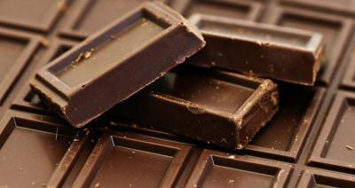 Немецкий стартап начал производить шоколад без какао, чтобы уменьшить углеродный след от шоколада