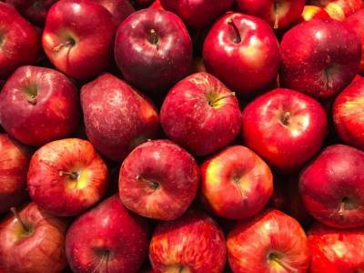 Диетолог объяснила, кому нельзя есть яблоки