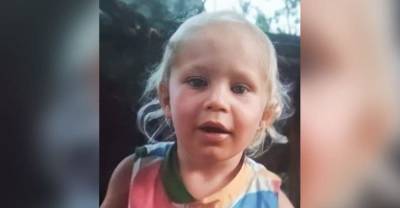 Двое суток надежды: В Смоленской области развёрнуты масштабные поиски двухлетней девочки
