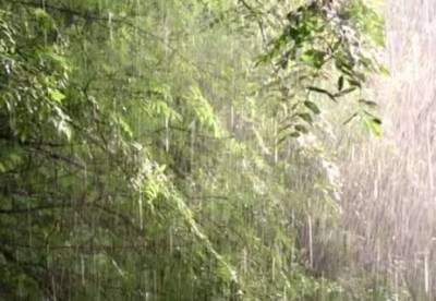 Прогноз погоды на 19 августа: в Украине ожидаются дожди с грозами