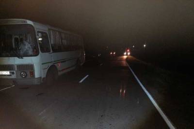 Пьяный водитель автобуса насмерть сбил 18-летнего пешехода под Новосибирском