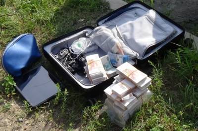 Житель Биробиджана забыл на улице чемодан с 15 млн рублей