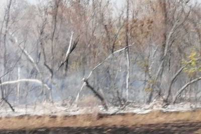 В Оренбуржье по-прежнему горит степь