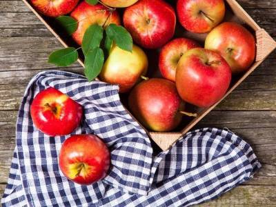 Яблочный спас: традиции и приметы праздника