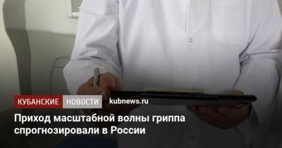 Приход масштабной волны гриппа спрогнозировали в России