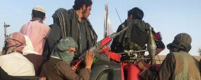Ополченцы в Панджшере обратились к Западу за оружием для борьбы с талибами