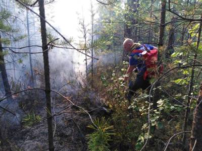 Лесной пожар под Первоуральском тушат около 100 человек