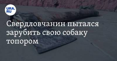 Свердловчанин пытался зарубить свою собаку топором. У пса рассечена голова