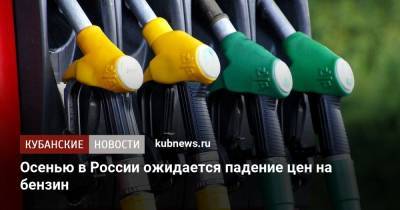 Осенью в России ожидается падение цен на бензин - kubnews.ru - Россия - Крым - Кубань