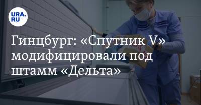 Гинцбург: «Спутник V» модифицировали под штамм «Дельта»