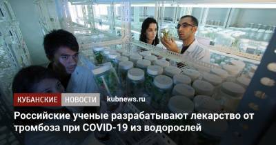 Российские ученые разрабатывают лекарство от тромбоза при COVID-19 из водорослей