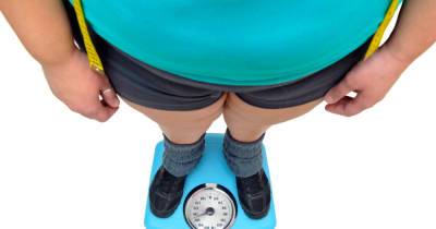 Толстяк номер ноль: с чего в мире началась эпидемия ожирения