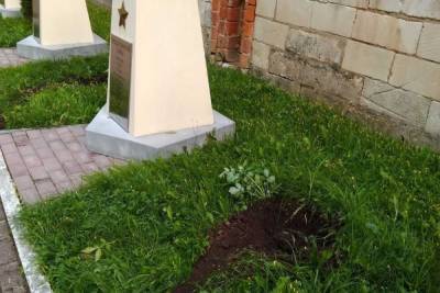В сквере Памяти Героев в Смоленске воры выкопали две туи
