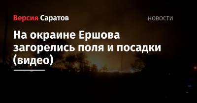 На окраине Ершова загорелись поля и посадки (видео)