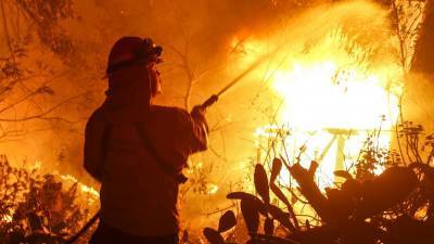 В США бушуют сильные пожары