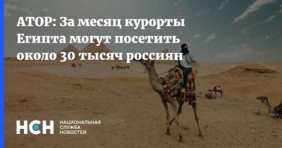 АТОР: За месяц курорты Египта могут посетить около 30 тысяч россиян