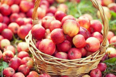 Яблочный Спас: как инфляция отразилась на праздничных десертах