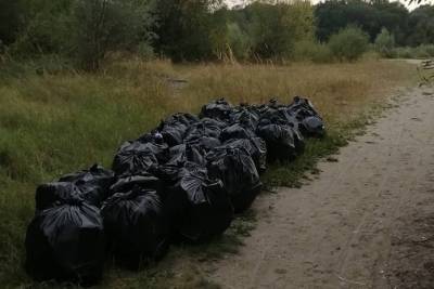 Брянцы убрали мусор с берегов озера Орлик-1