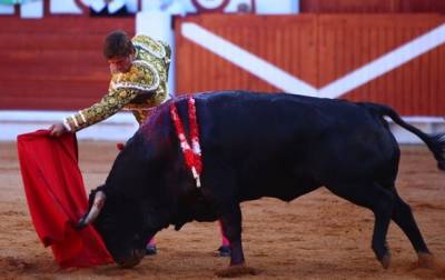 В испанском городе отменили корриду из-за кличек быков
