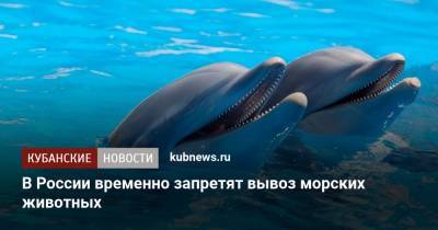 В России временно запретят вывоз морских животных