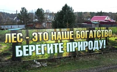 Абрамченко возглавит правительственную комиссию по вопросам развития лесного комплекса