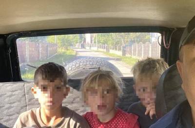 На Закарпатье нашли четверых детей, заблудившихся в лесу