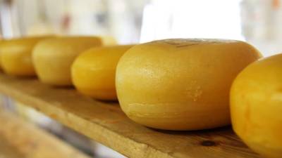 Сыр из Липецкой области участвует в конкурсе "Вкусы России"