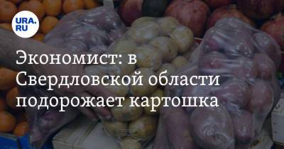 Экономист: в Свердловской области подорожает картошка
