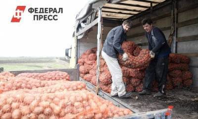 Эксперты оценили благосостояние жителей Югры и Ямала в картошке