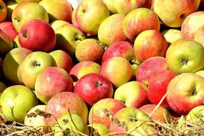 Яблочный Спас 2021: традиции, приметы и рецепт шарлотки